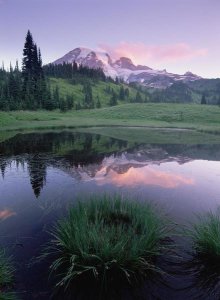 Tim Fitzharris - Mt Rainier reflected in lake, Mt Rainier National Park, Washington