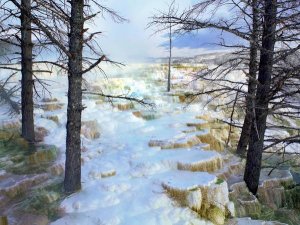 Tim Fitzharris - Travertine formations, Minerva Terrace, Mammoth Hot Springs, Yellowstone NP