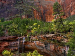 Tim Fitzharris - Cascades and desert varnish at Emerald Pools, Zion National Park, Utah