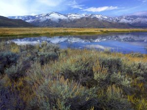 Tim Fitzharris - The Carson Range reflected in Washoe Lake, Nevada