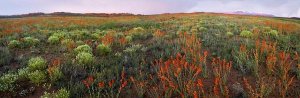 Tim Fitzharris - Panoramic view of Salt Valley, Arches National Park, Utah