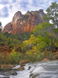 Tim Fitzharris - Court of the Patriarchs, Zion National Park Utah