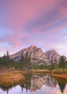 Tim Fitzharris - Mount Kidd and trees reflected in pond, Alberta, Canada