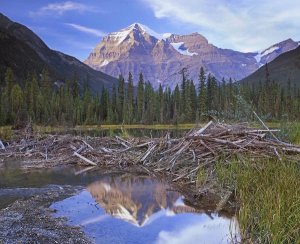 Tim Fitzharris - Beaver dam and Mount Robson, Mount Robson Provincial Park, BC, Canada