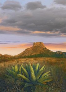 Tim Fitzharris - Lechuguilla agave and  Casa Grande, Big Bend National Park, Texas