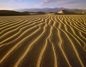 Tim Fitzharris - Sand dunes, Death Valley National Park, California