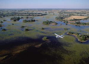 Konrad Wothe - Safari airplane flying over the flooded Okavango Delta, Botswana
