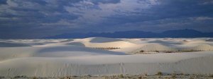 Konrad Wothe - Soaptree Yucca in gypsum dunes, White Sands National Monument, New Mexico