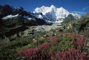 Colin Monteath - Wildflowers and Kangshung Glacier, Mt Chomolonzo in background, Tibet