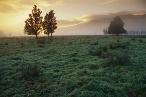 Andy Reisinger - Dawn light over South Island farmland, New Zealand