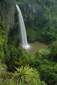 Andy Reisinger - Bridal Veil Falls near Raglan, New Zealand