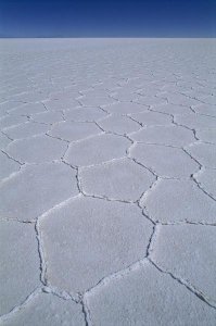Grant Dixon - Hexagonal crystallization fissures in Salar de Uyuni salt pan, Bolivia