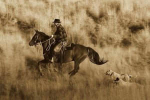 Konrad Wothe - Cowboy riding Horse, followed by two Dogs , Oregon - Sepia