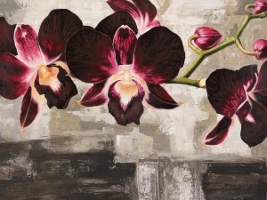 Shin Mills - Velvet Orchids