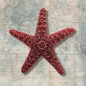 Ted Broome - Starfish