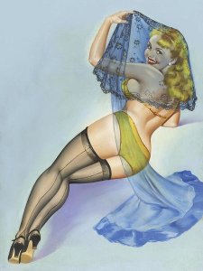 Peter Driben - Mid-Century Pin-Ups - The Veil