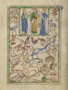 English 13th Century - Adam Naming the Animals