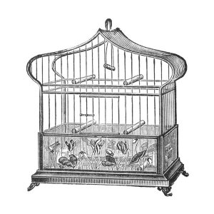 Catalog Illustration - Etchings: Birdcage - Onion-peak top, floral base.