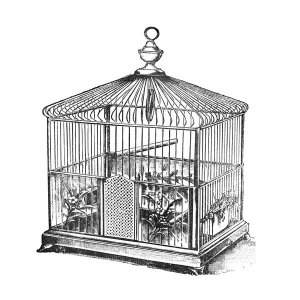 Catalog Illustration - Etchings: Birdcage - Onion peak top, floral base.