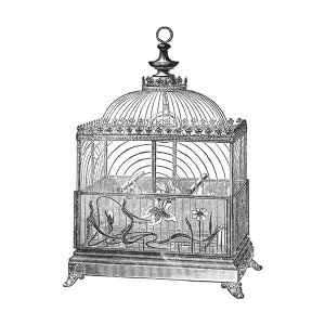 Catalog Illustration - Etchings: Birdcage - Dome top, floral base, filigree detail.