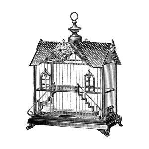 Catalog Illustration - Etchings: Birdcage - Victorian house with steps.