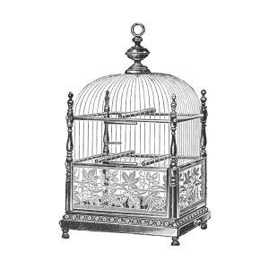 Catalog Illustration - Etchings: Birdcage - Dome top, spindle corners, vine detail base.