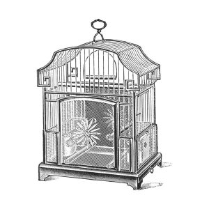 Catalog Illustration - Etchings: Birdcage - Gable top, daisy base.