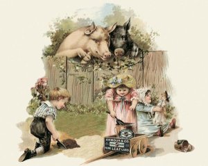 Advertisement - Pigs and Pork: Curious Pigs