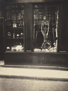 Eugene Atget - Zoologist's Shop