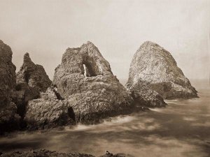 Carleton Watkins - Sugarloaf Islands at Fisherman's Bay, Farallon Islands, San Francisco, California, 1869