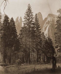 Carleton Watkins - Cathedral Spires - Yosemite, California, 1861