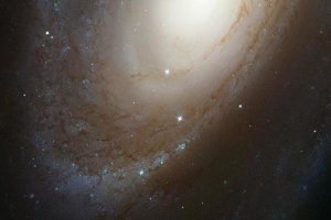 NASA - HST ACS Image of M81