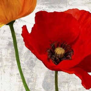 Jenny Thomlinson - Summer Poppies I