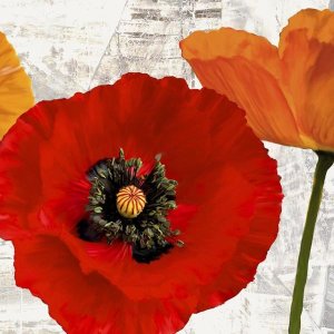 Jenny Thomlinson - Summer Poppies III