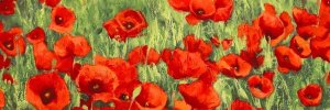 Silvia Mei - Poppy Field (detail)