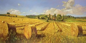 Andrea Del Missier - Campo in Toscana