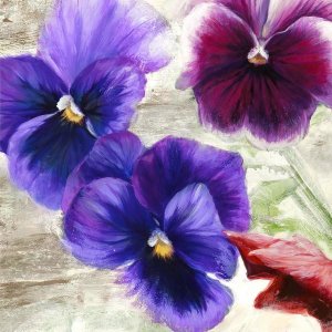 Jenny Thomlinson - Pansies II