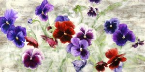 Jenny Thomlinson - Field of Pansies