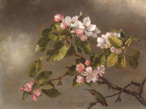 Martin Johnson Heade - Hummingbird and Apple Blossoms