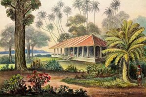 Ernst Haeckel - Rasthaus von Belligemma Südküste von Ceylon