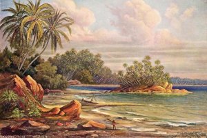 Ernst Haeckel - Cocos-Insel bei Belligemma (Gan-Duva) Ceylon