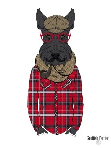 NAXART Studio - Scottish Terrier In Pin Plaid Shirt