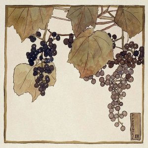 Hannah Borger Overbeck - Frost Grape