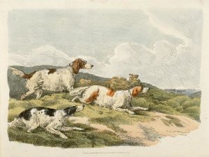 Henry Thomas Alken - Running Hounds, 1817