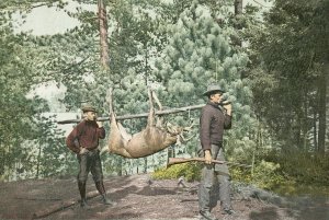 Detroit Publishing Co. - Hunting, Adirondacks, N.Y., 1898