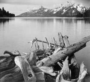 Ansel Adams - Driftwood on shore of Jackson Lake, with Teton Range in background, Grand Teton National Park, Wyoming, 1941