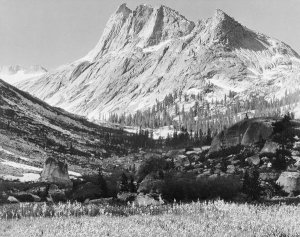 Ansel Adams - Boaring River, Kings Region, Kings River Canyon, proposed as a national park, California, 1936