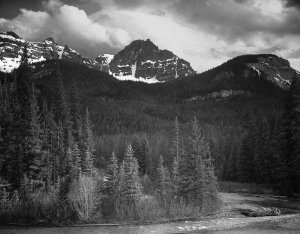 Ansel Adams - View of streamside trees and snow on mountains - Northeast Portion, Yellowstone National Park, Wyoming, ca. 1941-1942