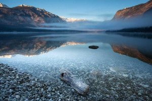 Bor - BohinjS Tranquility