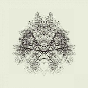 Nadav Jonas - Rorschach Test